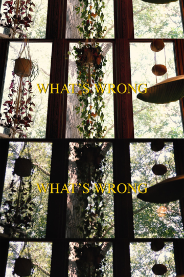 What's Wrong Poster