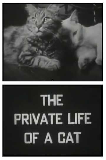 The Private Life of a Cat