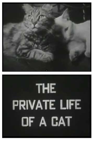 The Private Life of a Cat Poster