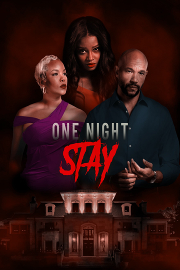 One Night Stay Poster