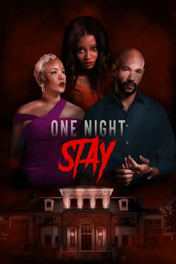 One Night Stay (2024) Stream and Watch Online | Moviefone