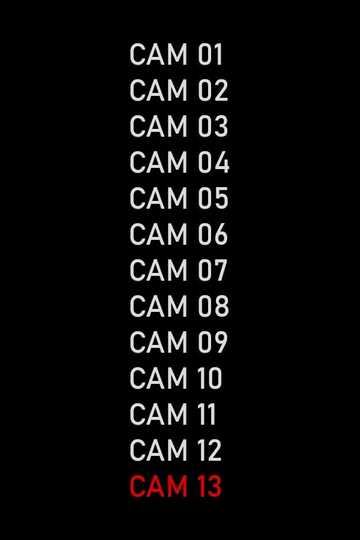 CAM 13