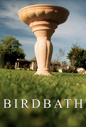 Birdbath Poster