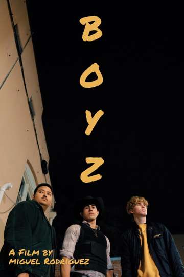 Boyz Poster