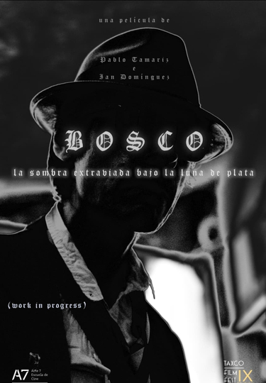 Bosco: La Sombra Extraviada Bajo la Luna de Plata Poster