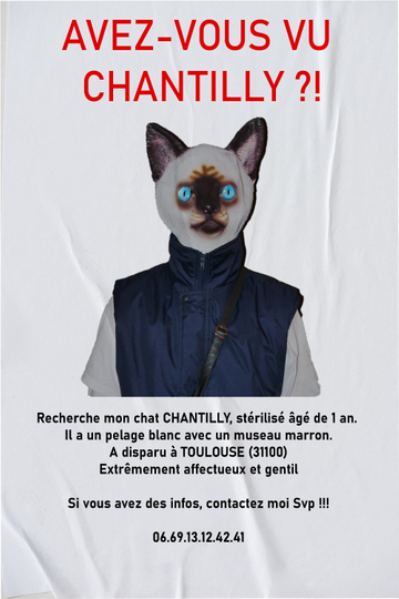 AVEZ-VOUS VU CHANTILLY ?! Poster