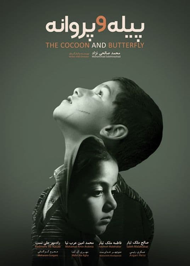 Cocoon & Butterfly Poster