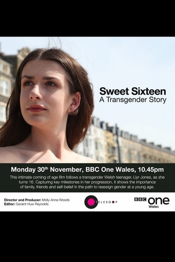 Sweet Sixteen: A Transgender Story Poster