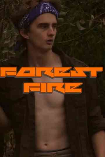 Forest Fire