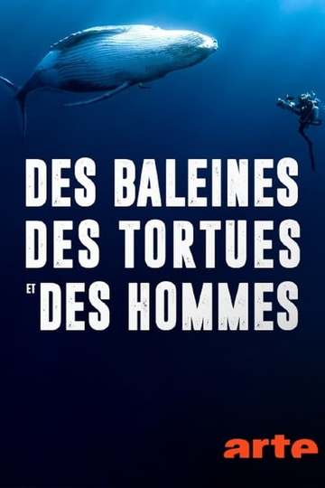 Des baleines, des tortues et des hommes