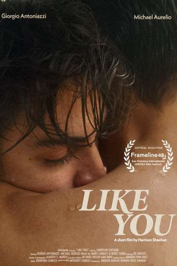 Like You Poster