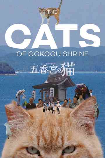 The Cats of Gokogu Shrine