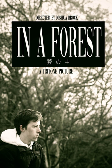 In a Forest Poster