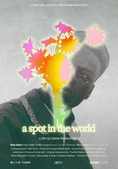 A Spot in the World Poster