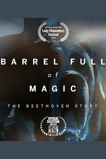 Barrel Full of Magic: The Beethoven Story Poster