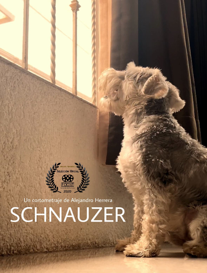 Schnauzer Poster