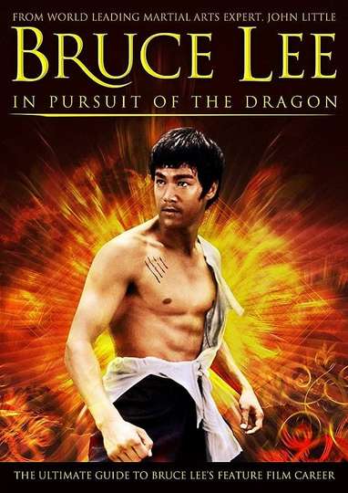 Bruce Lee In Pursuit of the Dragon Poster