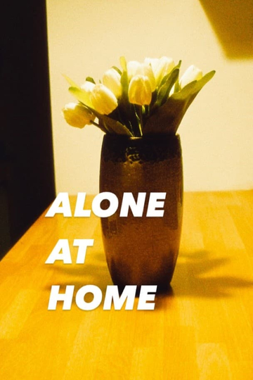 Alone at Home Poster