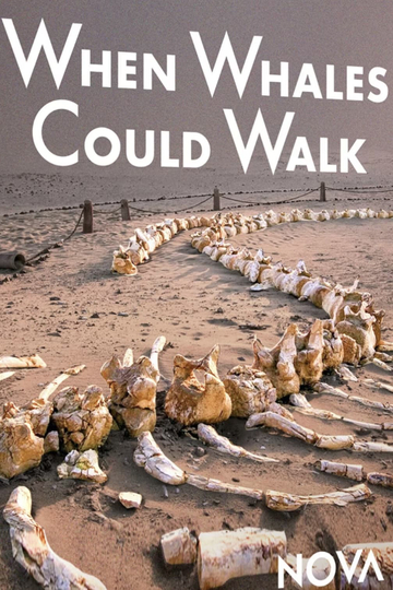 When Whales Could Walk Poster