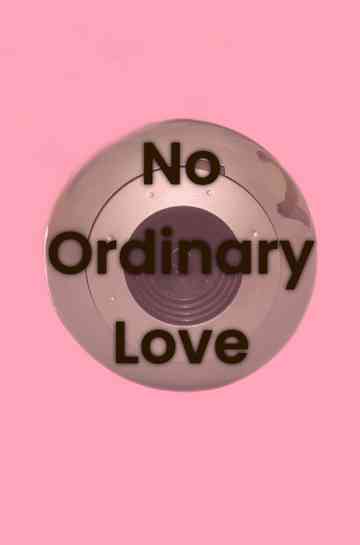 No Ordinary Love Poster