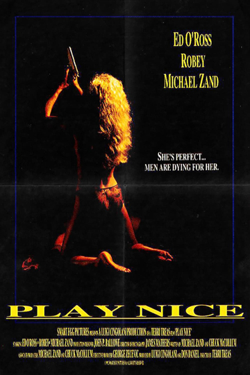 Play Nice Poster