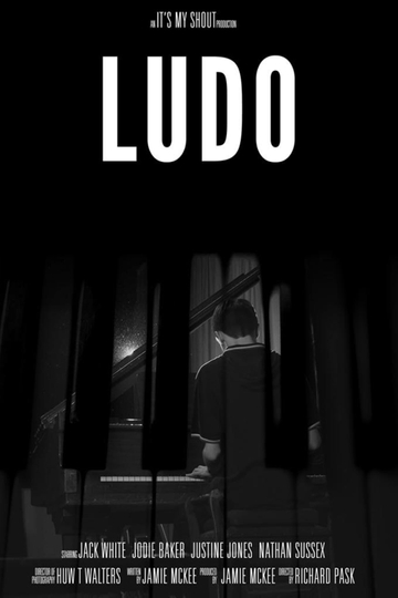 Ludo Poster