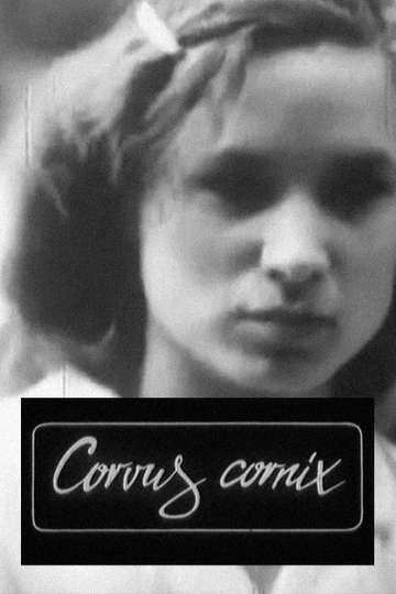 Corvus Cornix — с латинского ворона Poster