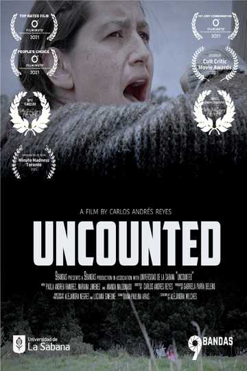 Uncounted Poster