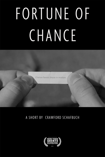 Fortune of Chance Poster