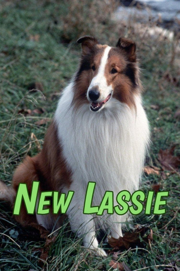 The New Lassie