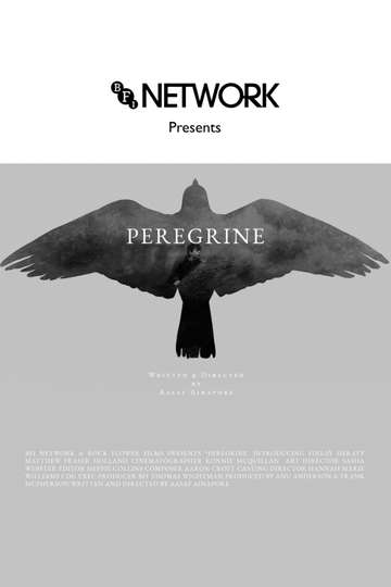 Peregrine Poster