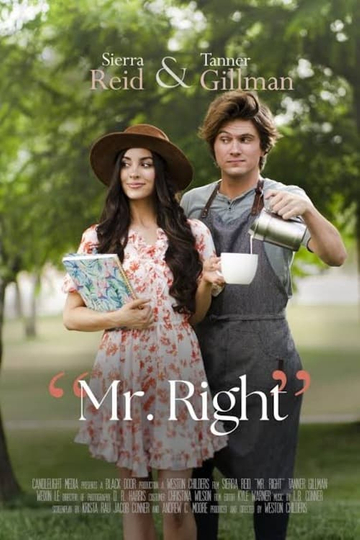 Mr. Right Poster