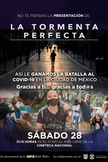 La tormenta perfecta Poster