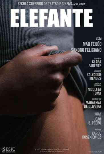 Elefante Poster