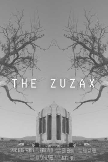 The Zuzax Poster
