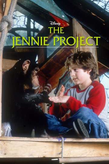 The Jennie Project Poster