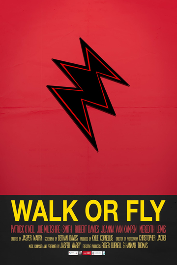 Walk or Fly Poster