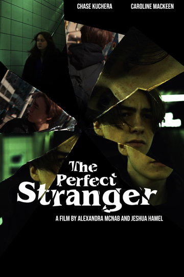 The Perfect Stranger Poster