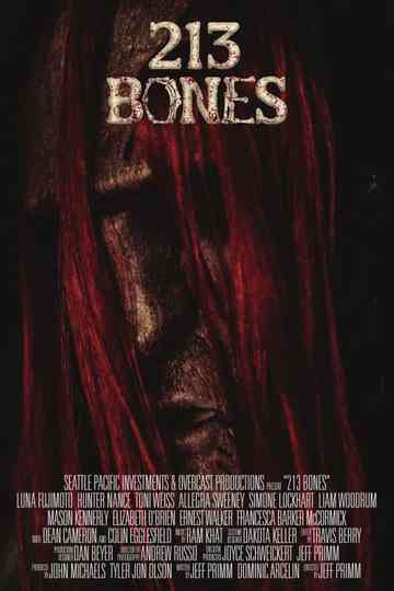 213 Bones Poster