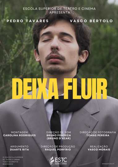 Deixa Fluir Poster