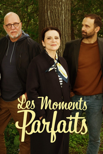 Les moments parfaits Poster