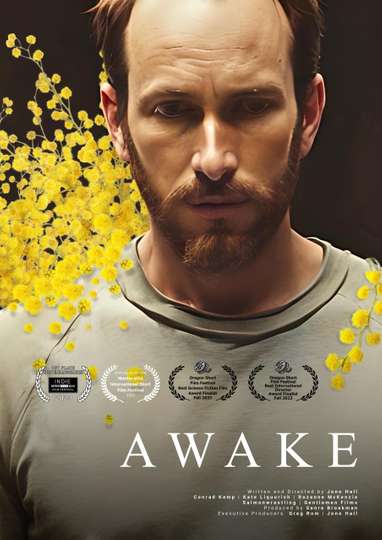 Awake Poster