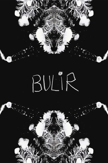 BULIR