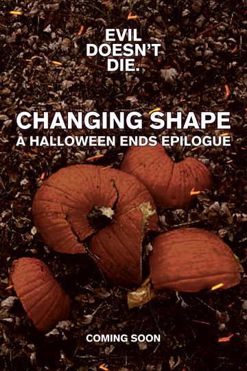 Changing Shape: A Halloween Ends Epilogue