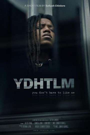 YDHTLM: You Don't Have to Like Me Poster