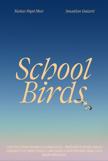 School Birds