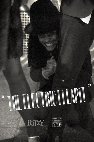 The Electric Fleapit Poster