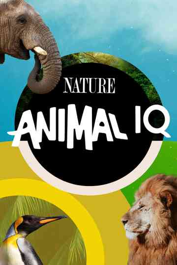 Animal IQ