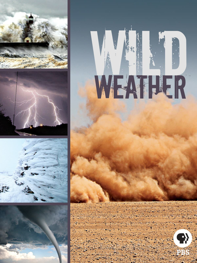 Wild Weather