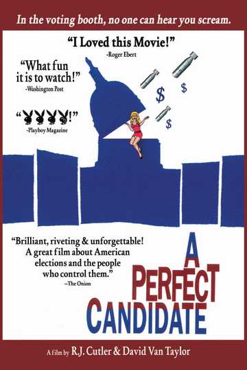 A Perfect Candidate Poster